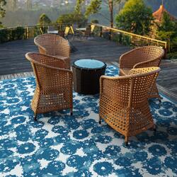 Selections by Chaumont Ltd. DBA SBC Interior Decor Vintage Zinnia' Abstract Non-Slip Indoor/Outdoor Rug