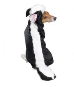 CC Lil' Stinker Costume CC Lil' Stinker Costume - ZA53920-Case