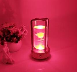 Decorative Lights USB Charging Retro Camping Light Luxury And Minimalist Decorative Lights
