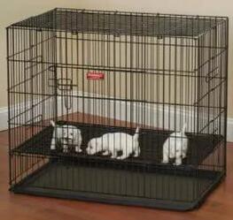 ProSelect Puppy PlayPen ProSelect Puppy PlayPen with Plastic Pan - ZW064 30 17