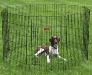 ProSelect Everlast XPen with Door ProSelect Everlast XPen with Door - ZW121 48