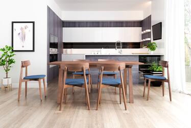 Zuo Modern Contemporary Inc Newman Dining Chair (Set of 2) Walnut & Blue