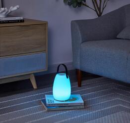 Forward Industries Dalia Speaker Lantern